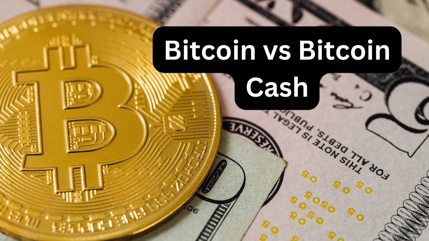 What Is The Difference Between Bitcoin And Bitcoin Cash Cover